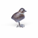 70701413 - Cottage - Metal Chick - 1-1.jpg