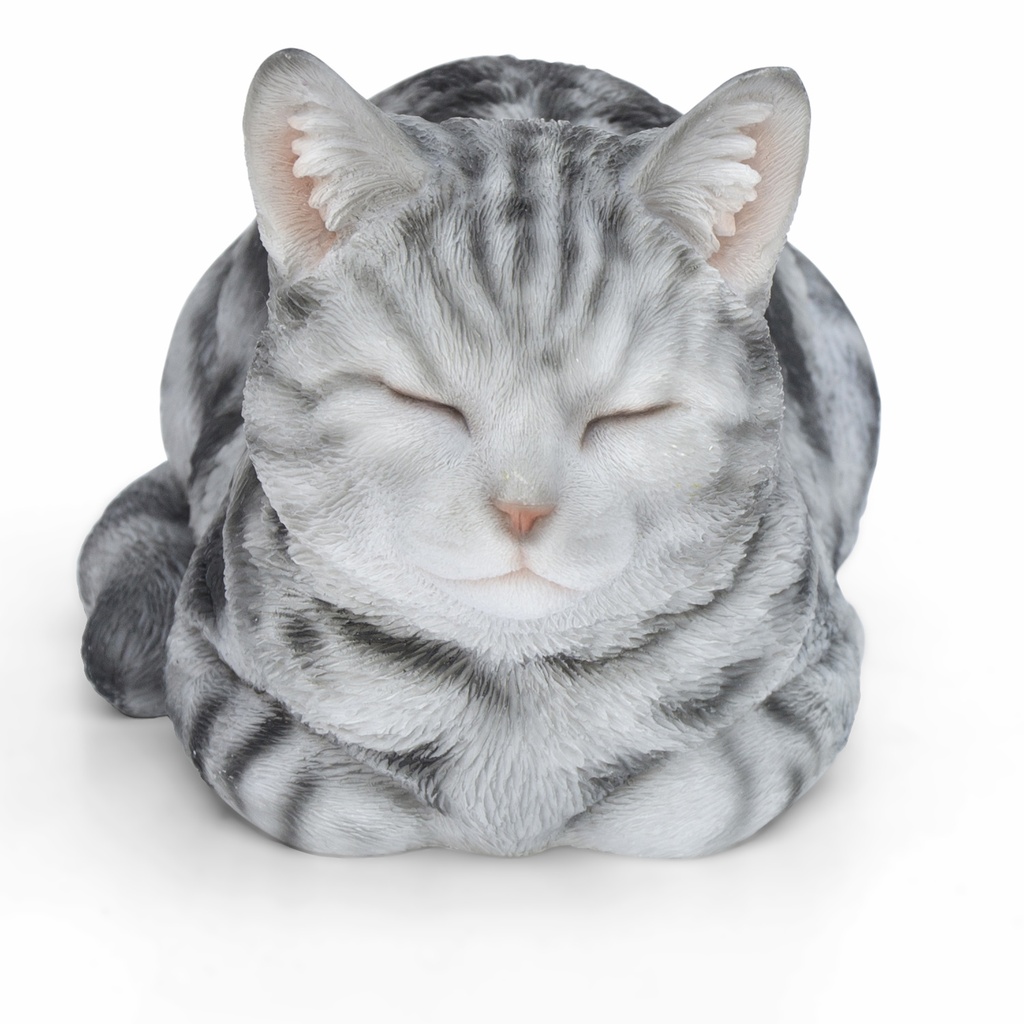 11153092 - Cat Sleeping Grey -5-1.jpg