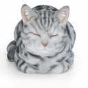 11153092 - Cat Sleeping Grey -5-1.jpg