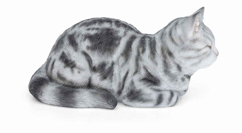 11153092 - Cat Sleeping Grey -1-1.jpg
