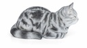 11153092 - Cat Sleeping Grey -1-1.jpg