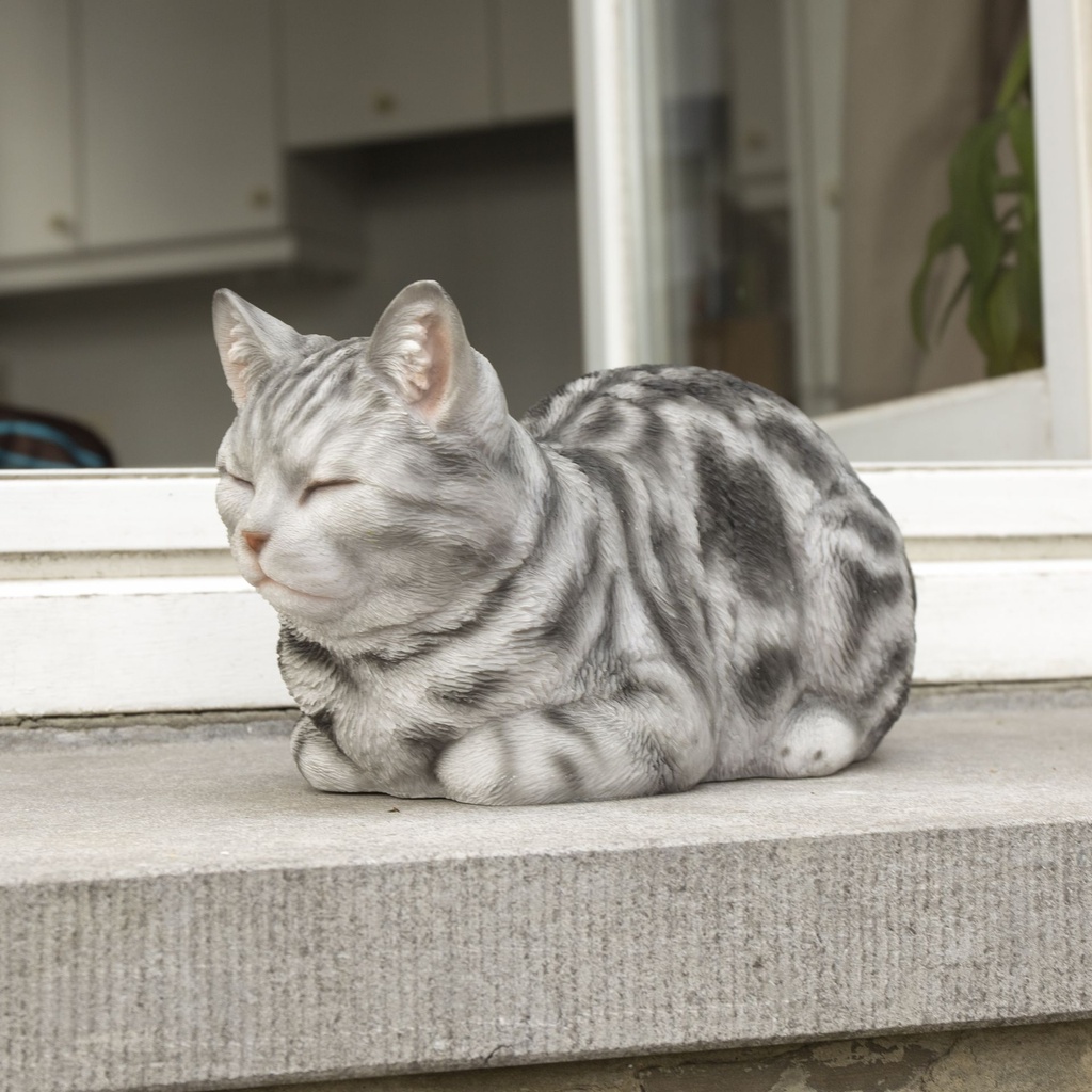 11153092 - Cat Sleeping Grey -in situ 1-1.jpg