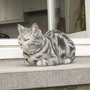 11153092 - Cat Sleeping Grey -in situ 1-1.jpg