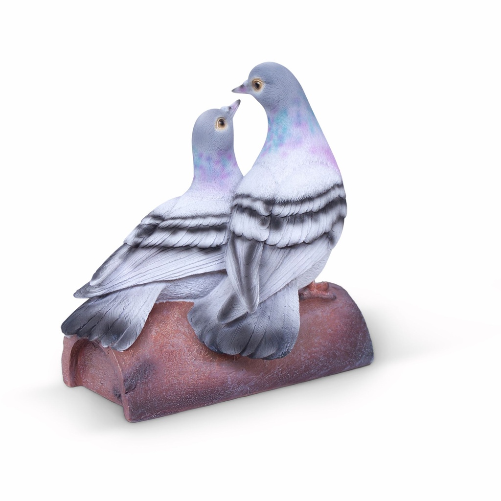 11154150 - pigeons duo on wood -5-1.jpg