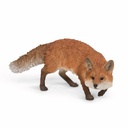 11154173 - fox chasing -2-1.jpg