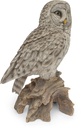 11154031 - Great Gray Owl-2.jpg
