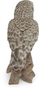 11154031 - Great Gray Owl-3.jpg