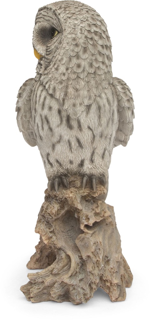 11154031- Great Gray Owl-5.jpg