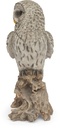 11154031- Great Gray Owl-5.jpg