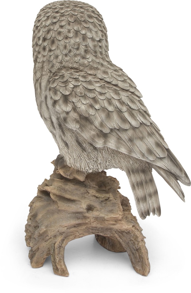 11154031 - Great Gray Owl-7.jpg