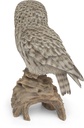 11154031 - Great Gray Owl-7.jpg