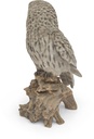 11154031 - Great Gray Owl-6.jpg