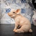 11153062- Pig Pink Large - in situ3-1.jpg