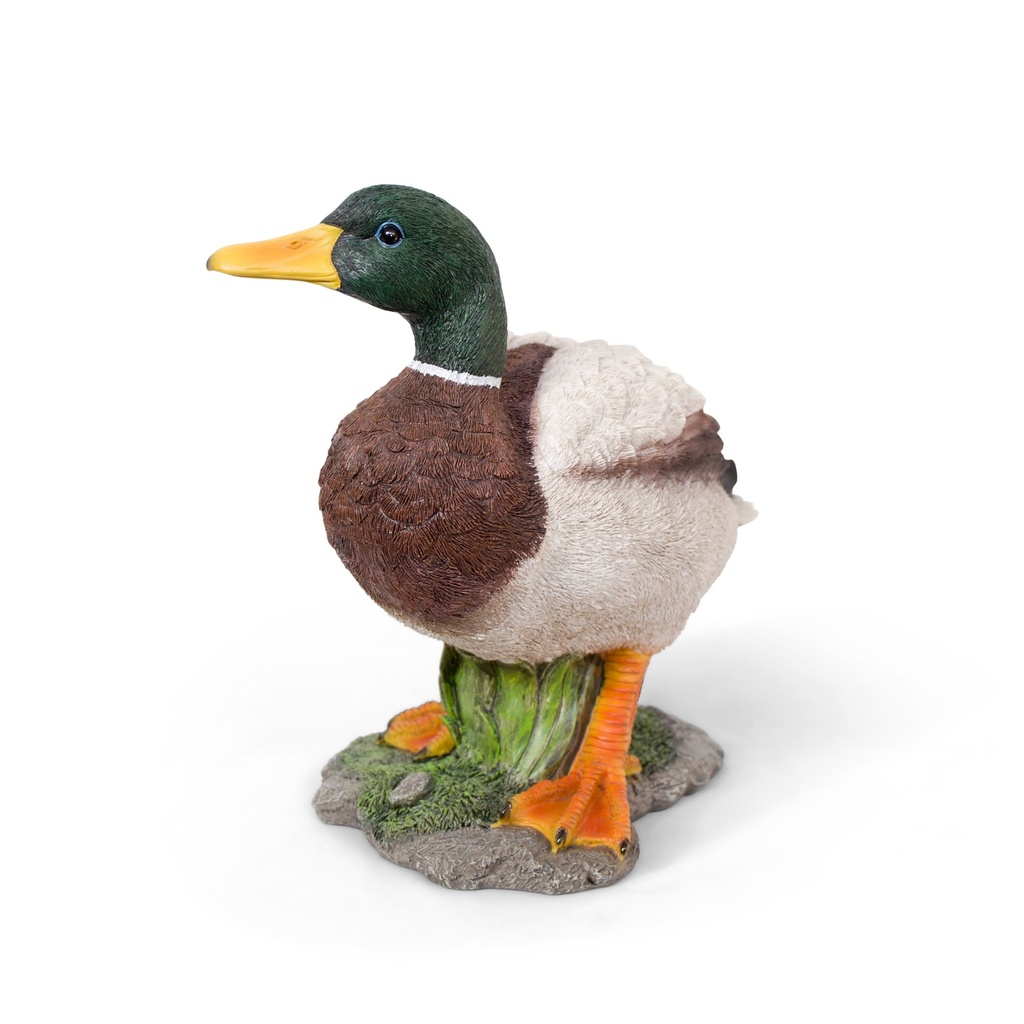 11154177 - duck mallard big -4-1.jpg