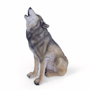 11154160 - wolf howling -3-1.jpg