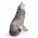 11154160 - wolf howling -2-1.jpg