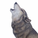 11154160 - wolf howling -4-1.jpg