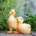 11153038 - Small Duck Duo2-1.jpg
