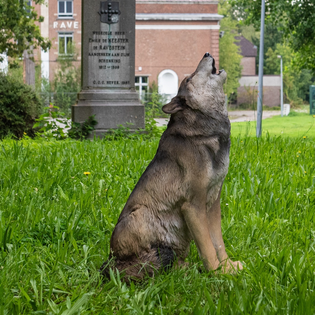 2023 Croix HR WillemDeLeeuw-127-1.jpg