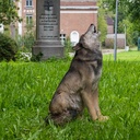 2023 Croix HR WillemDeLeeuw-127-1.jpg