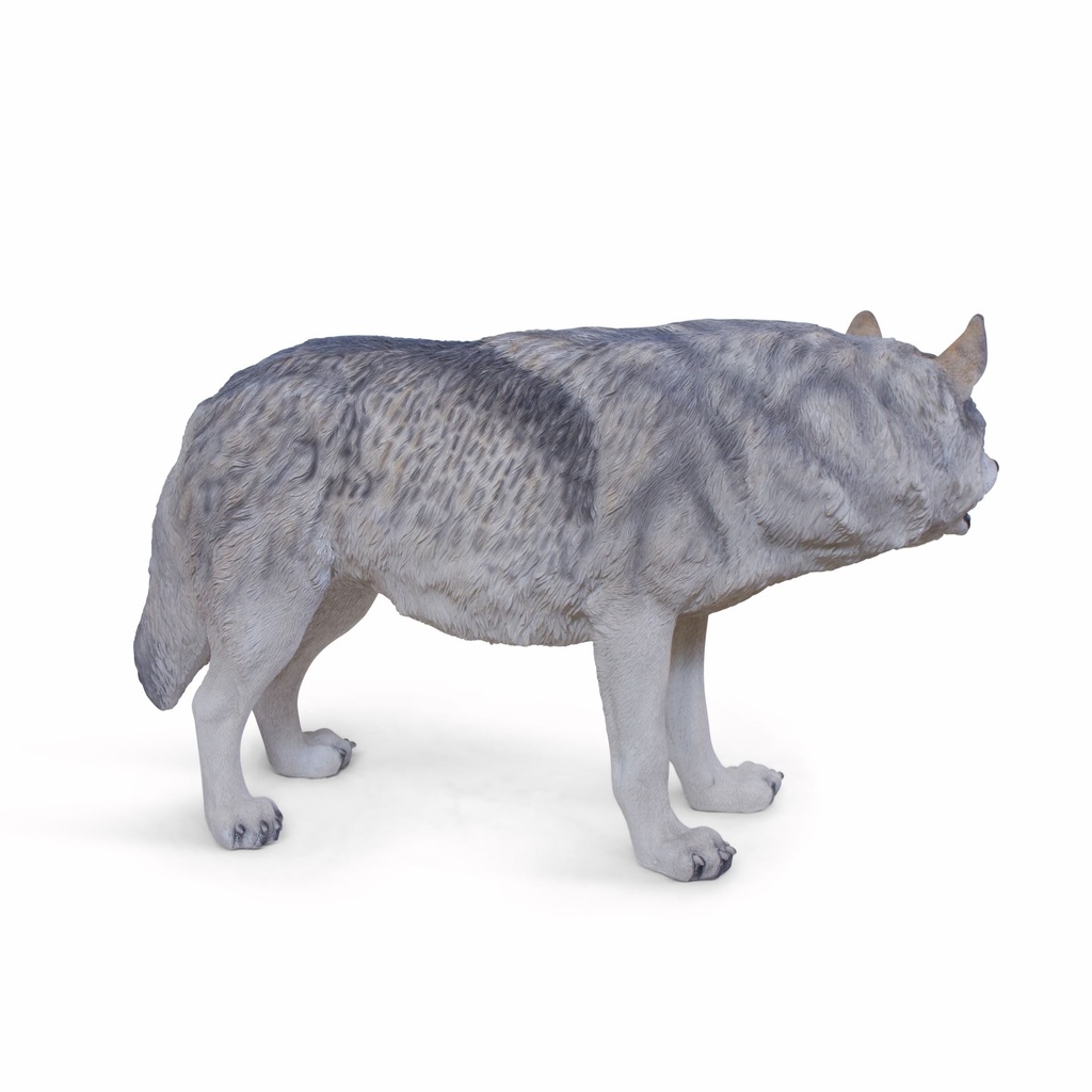 11154163 - wolf walking xxl -4-1.jpg