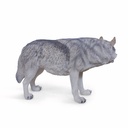 11154163 - wolf walking xxl -4-1.jpg