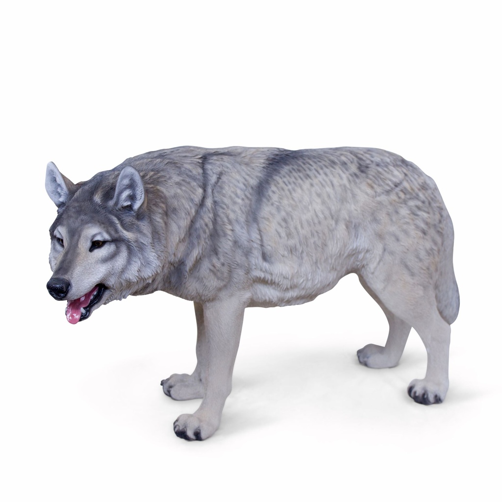 11154163 - wolf walking xxl -2-1.jpg