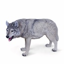 11154163 - wolf walking xxl -2-1.jpg