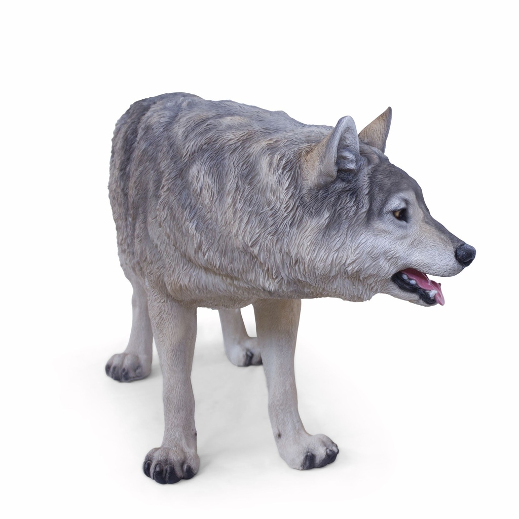 11154163 - wolf walking xxl -5-1.jpg