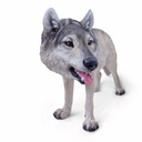 11154163 - wolf walking xxl -7-1.jpg