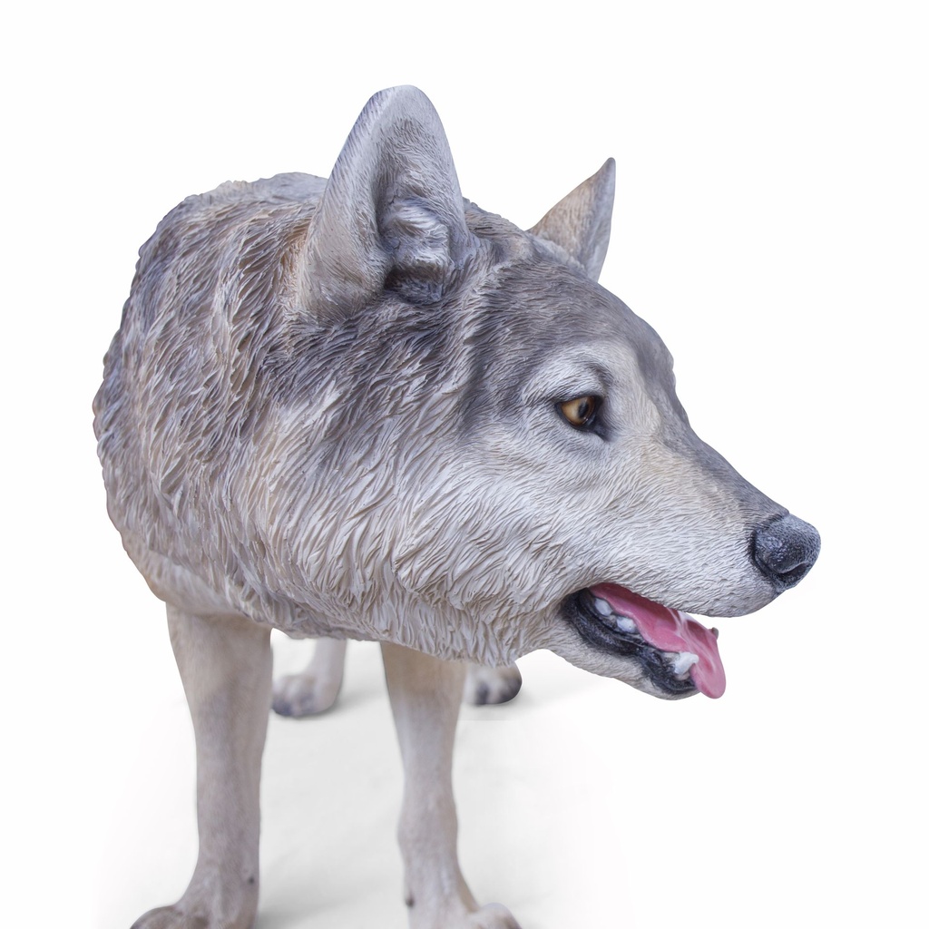11154163 - wolf walking xxl -6-1.jpg