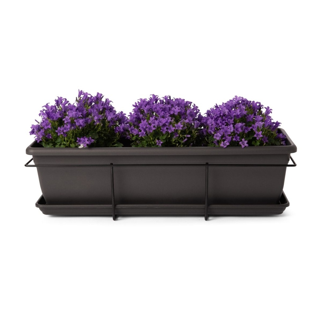 kit relax anthracite + flower 1b.jpg
