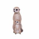 11154080 - Suricate + baby -3 copie-1.jpg