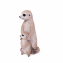 11154080 - Suricate + baby -2 copie-1.jpg