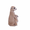 11154080 - Suricate + baby -4-1.jpg