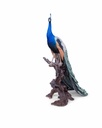 11154075 - Peacock XXL 2-1.jpg