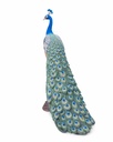 11154075 - Peacock XXL 5-1.jpg