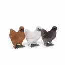 11154047+48+49 - GID - Ornaments - Silky Chicken Family copie-1.jpg