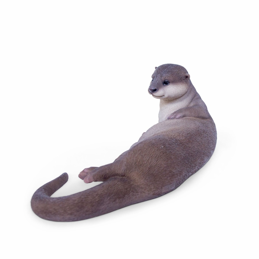 11154085 - otter lying -3-1.jpg