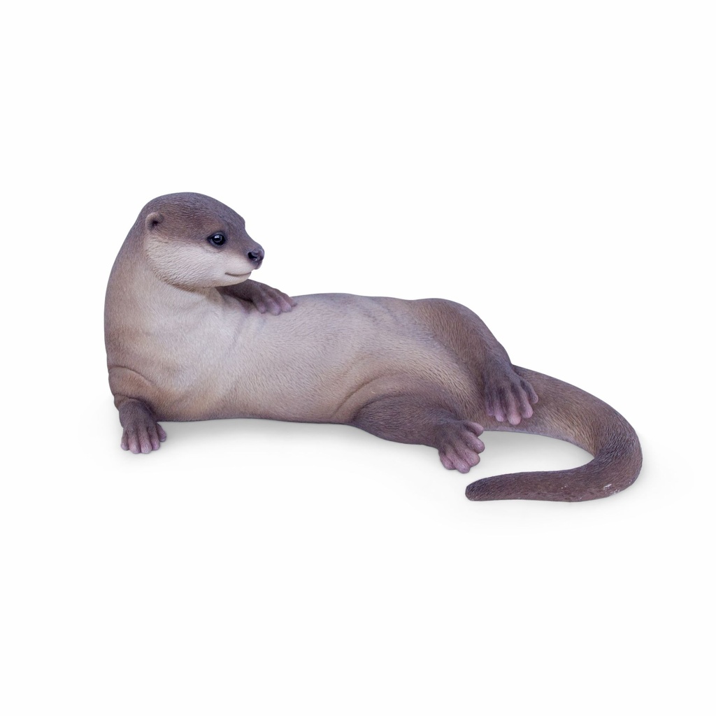 11154085 - otter lying -2-1.jpg