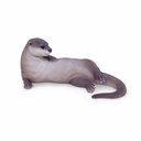 11154085 - otter lying -2-1.jpg