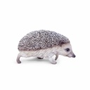 11154086 - hedgehog walking -3-1.jpg