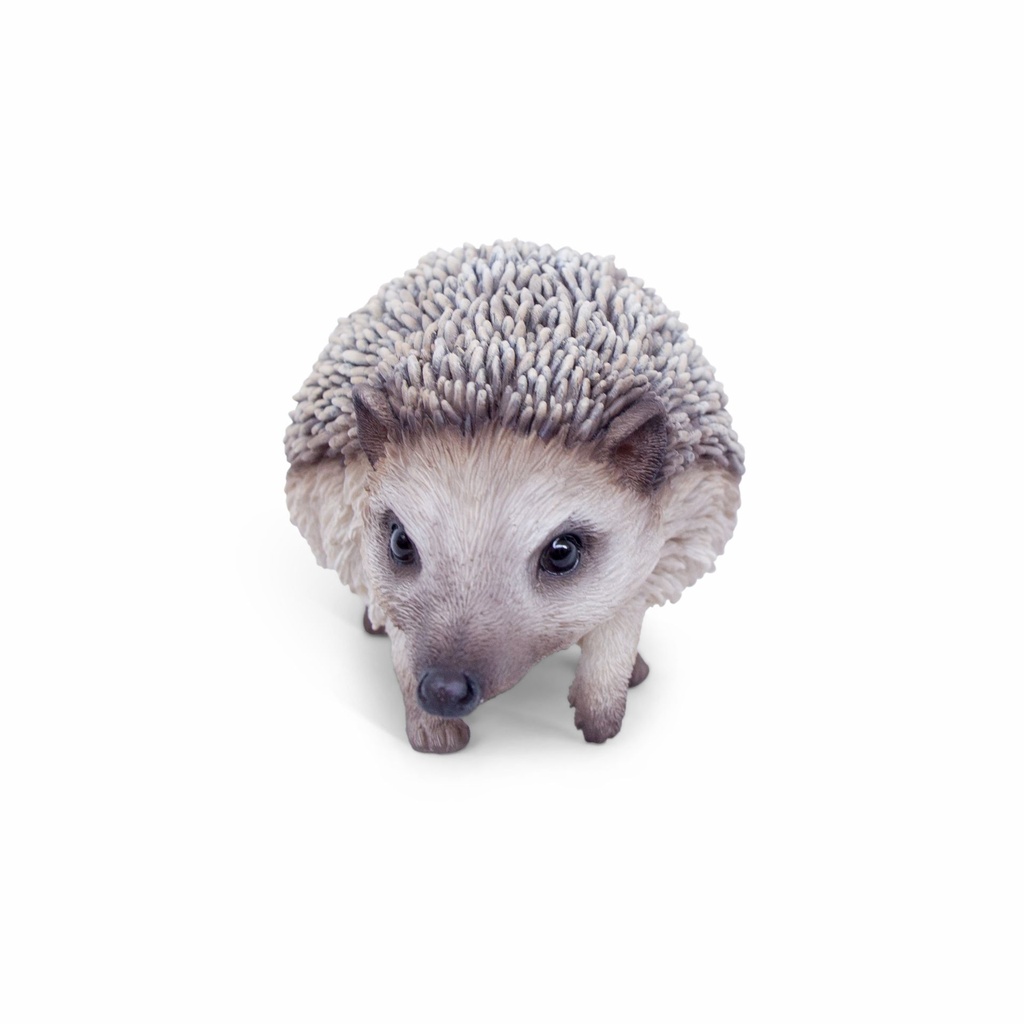 11154086 - hedgehog walking -4-1.jpg