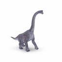 11154090 - brachiosaurus -4-1.jpg