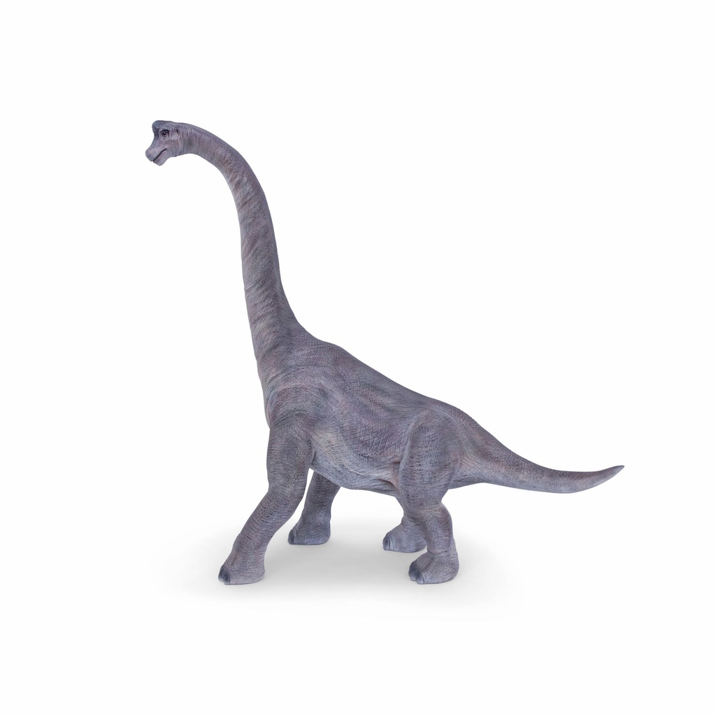 11154090 - brachiosaurus -2-1.jpg