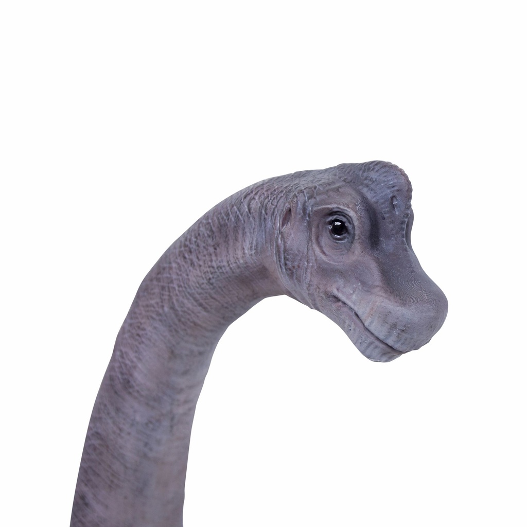 11154090 - brachiosaurus -zoom-1.jpg