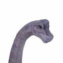 11154090 - brachiosaurus -zoom-1.jpg