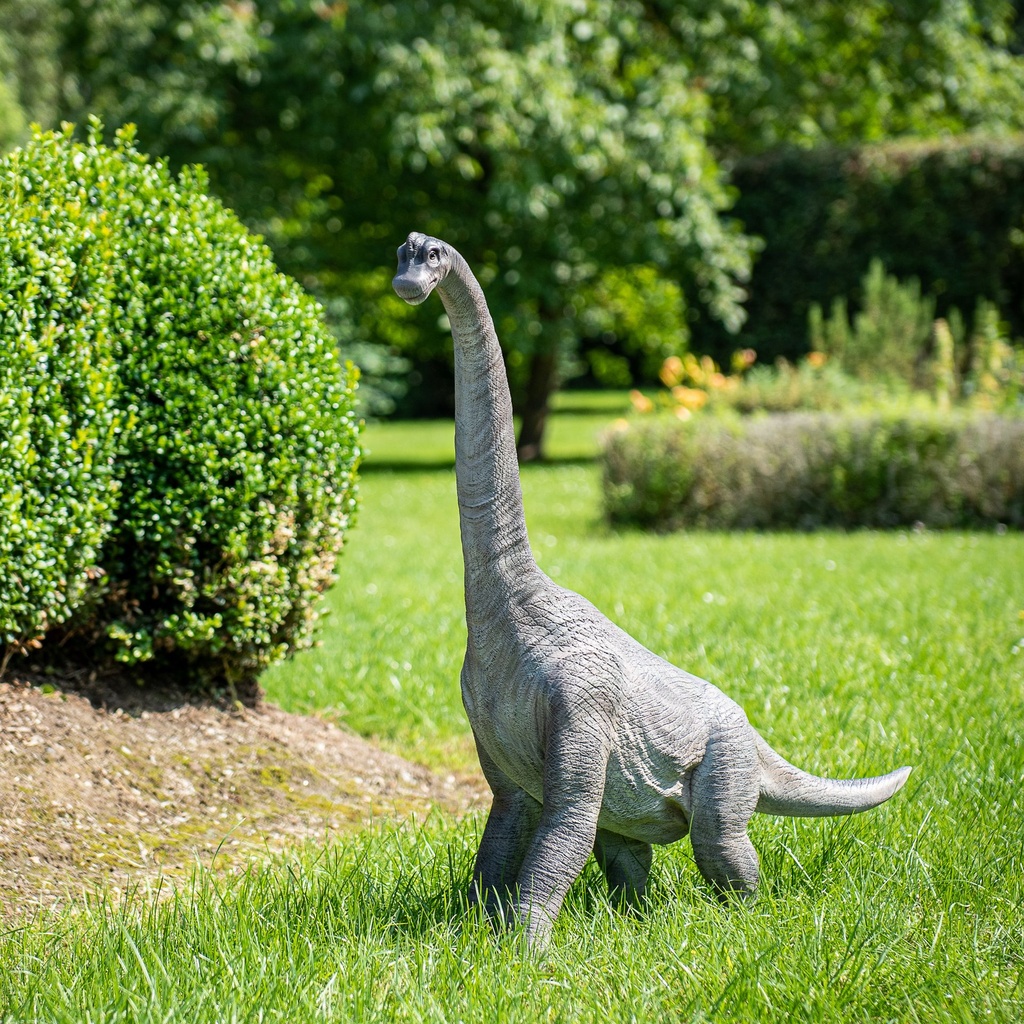 11154090 - brachiosaurus -situ1-1.jpg