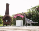 11154090 - brachiosaurus -situ2-1.jpg