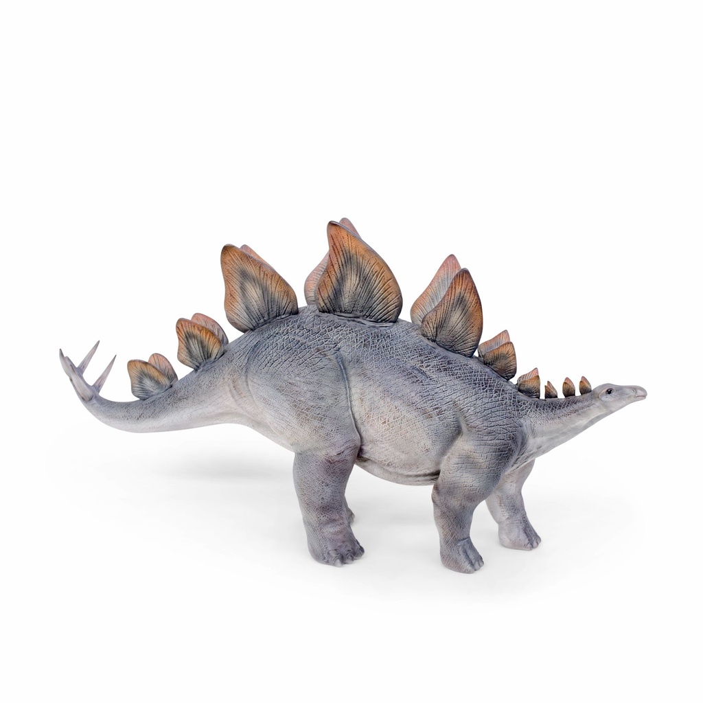 11154092 - stegosaurus -5-1.jpg